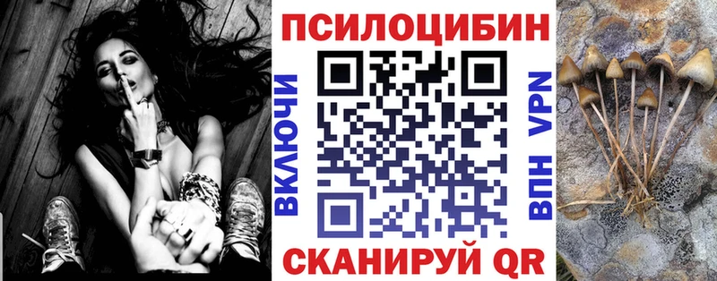 наркошоп  Инсар  Псилоцибиновые грибы мухоморы 