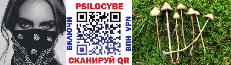 Галлюциногенные грибы мицелий Инсар